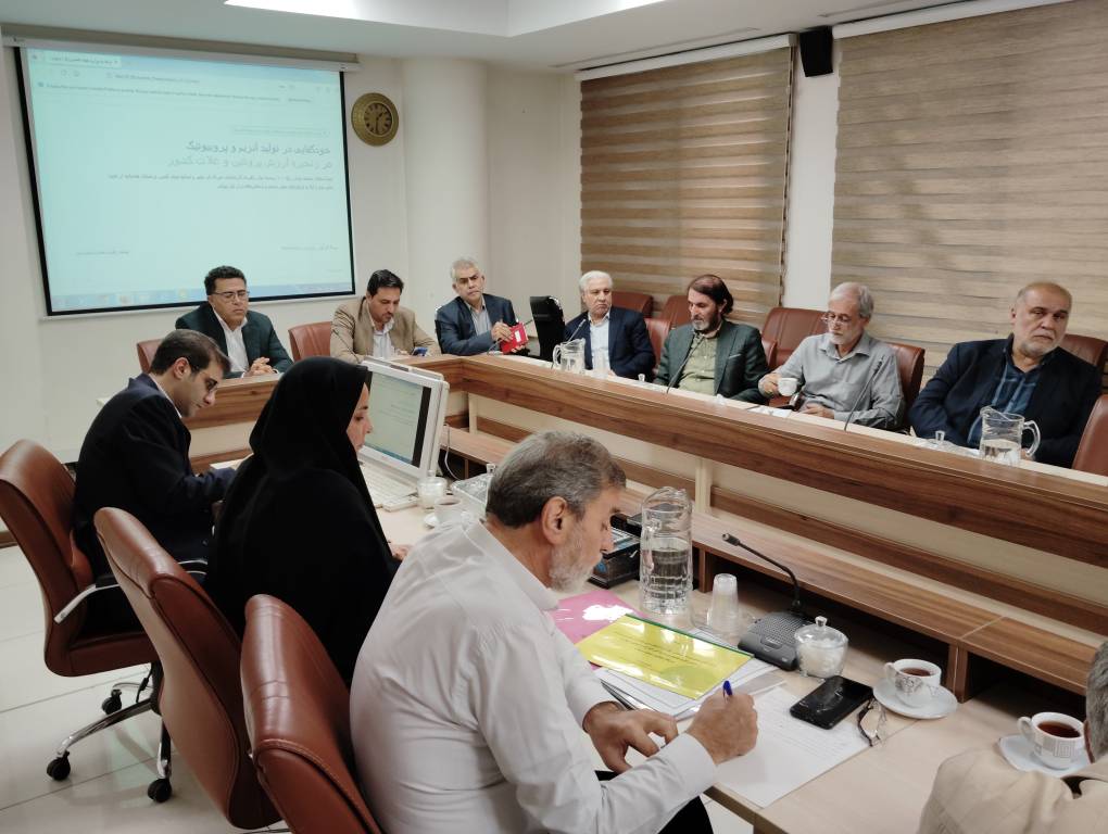بررسی بهای خرید تضمینی گندم و دانه‌های روغنی در کمیسیون تخصصی شورای قیمت‌گذاری